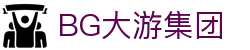 BG大游(集团)唯一官方网站