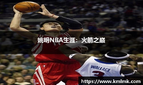 姚明NBA生涯：火箭之巅